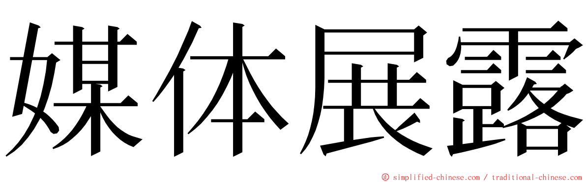 媒体展露 ming font