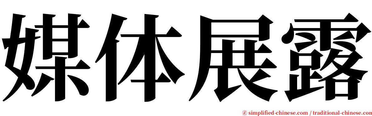 媒体展露 serif font