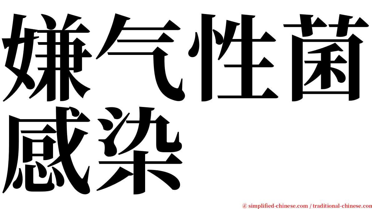 嫌气性菌感染 serif font