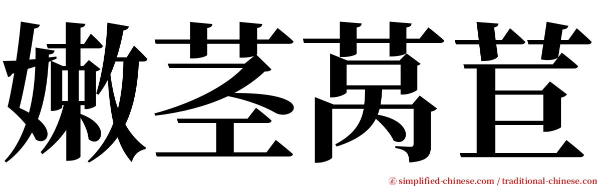 嫩茎莴苣 serif font