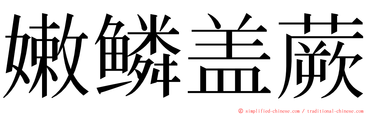 嫩鳞盖蕨 ming font