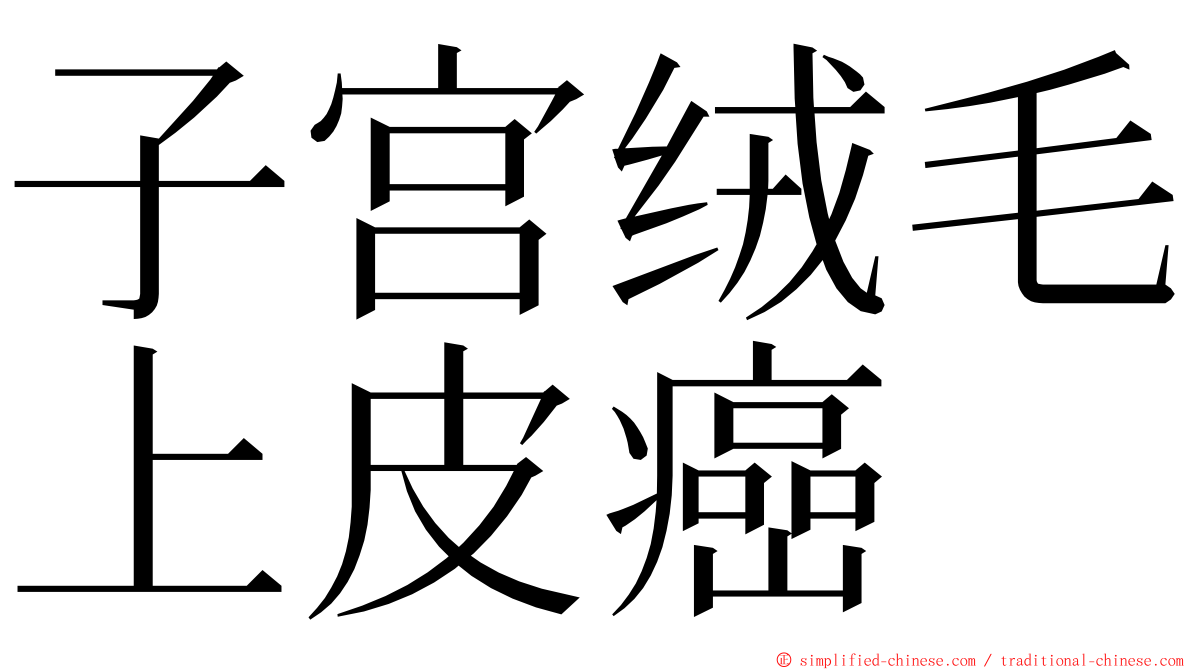 子宫绒毛上皮癌 ming font