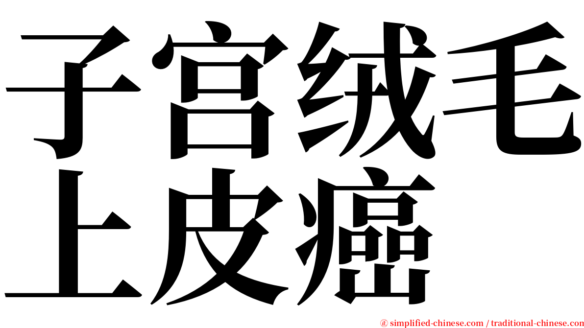 子宫绒毛上皮癌 serif font