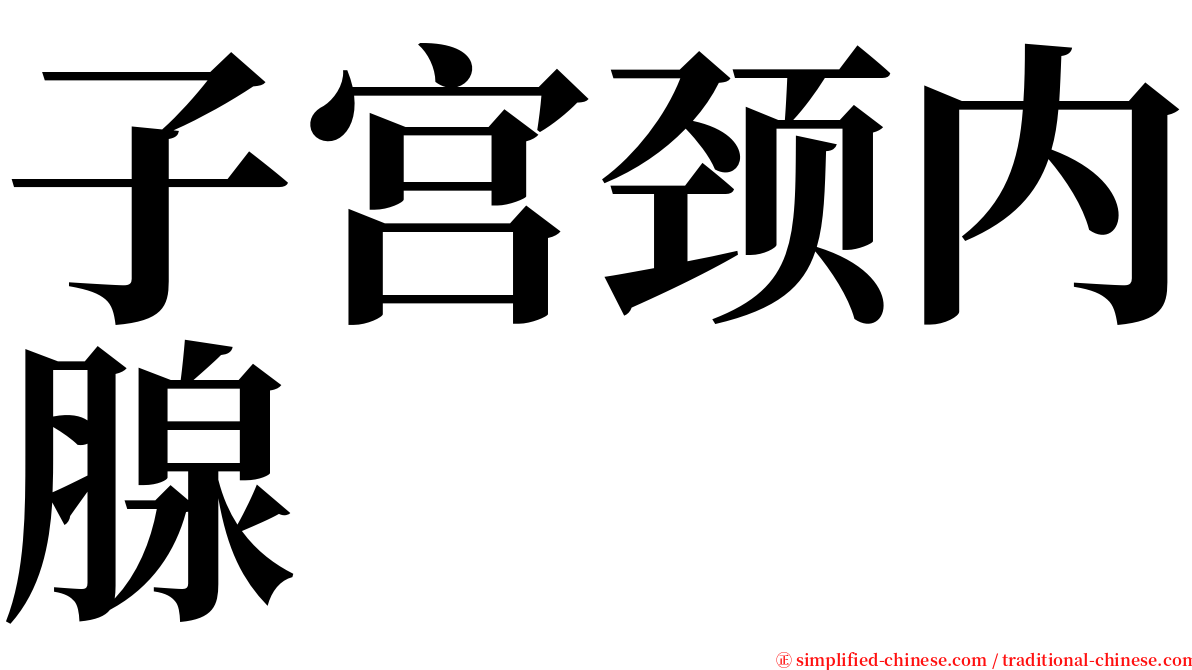 子宫颈内腺 serif font