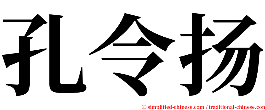 孔令扬 serif font