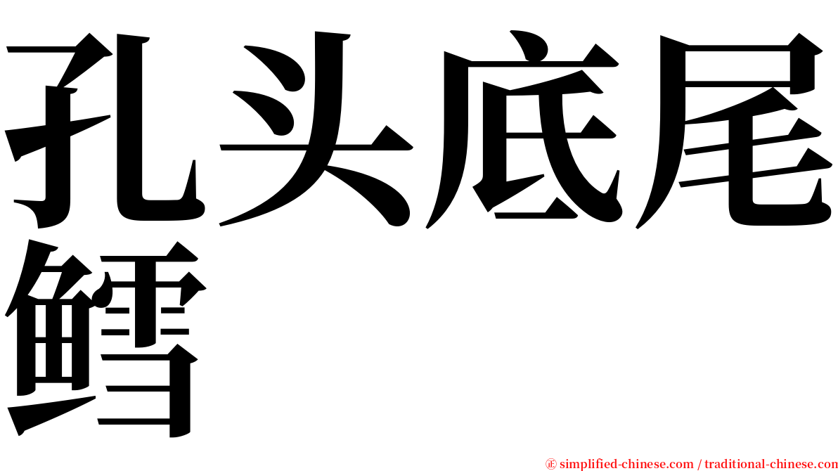 孔头底尾鳕 serif font