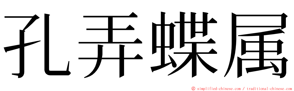 孔弄蝶属 ming font