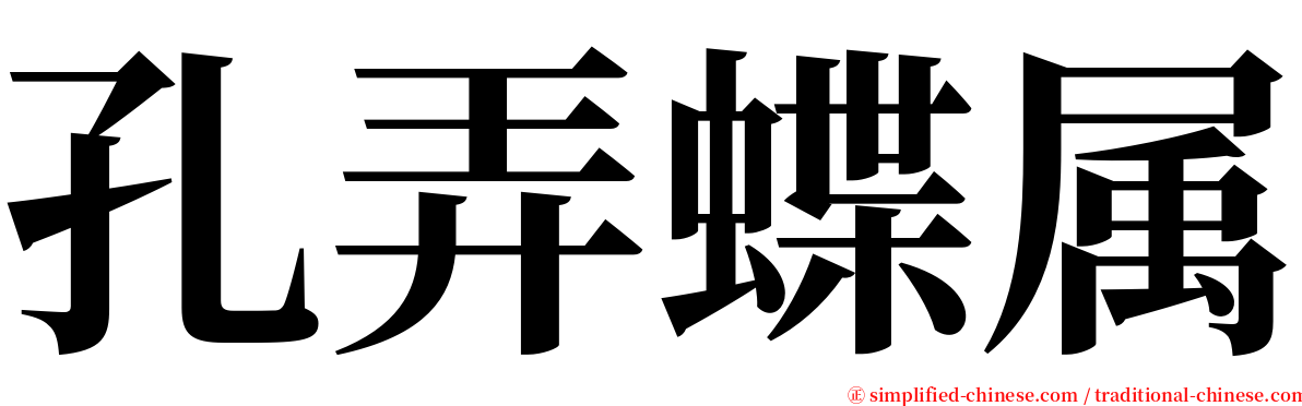 孔弄蝶属 serif font