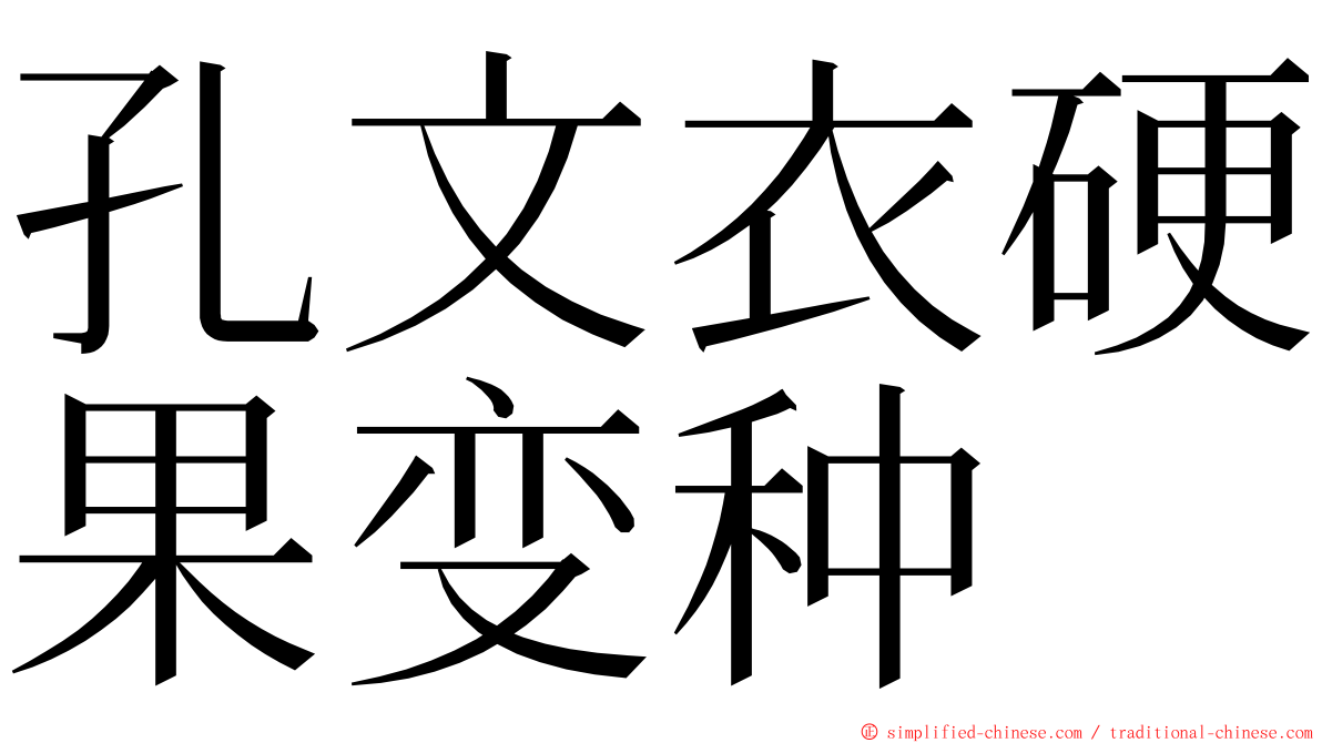 孔文衣硬果变种 ming font