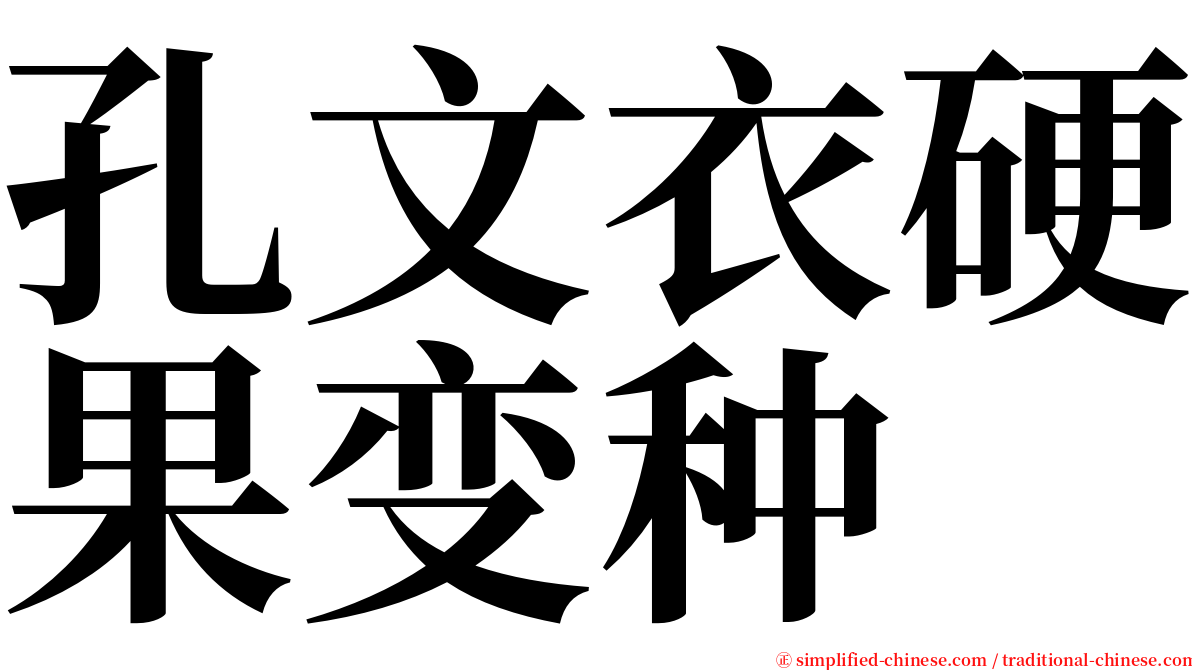 孔文衣硬果变种 serif font