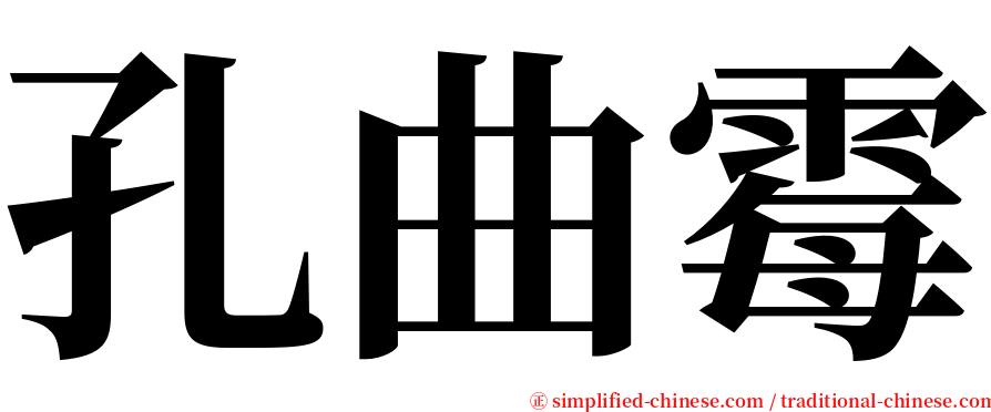 孔曲霉 serif font