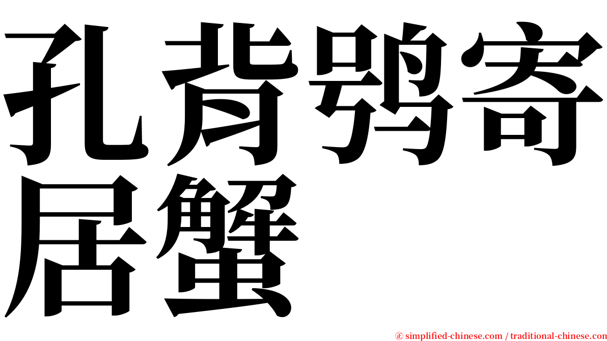 孔背鸮寄居蟹 serif font