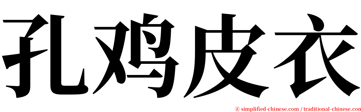 孔鸡皮衣 serif font