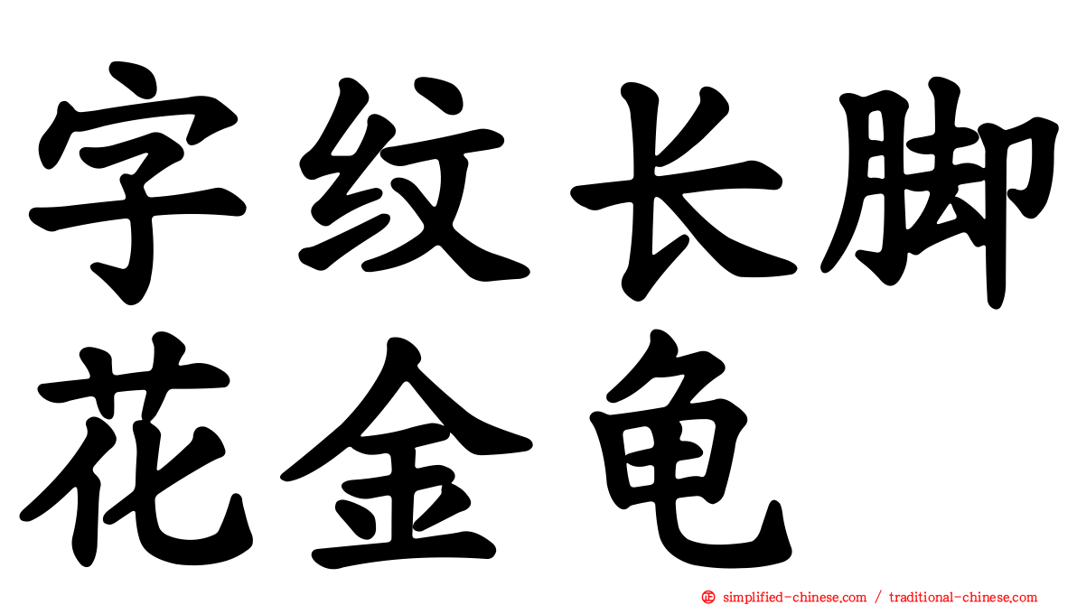 字纹长脚花金龟