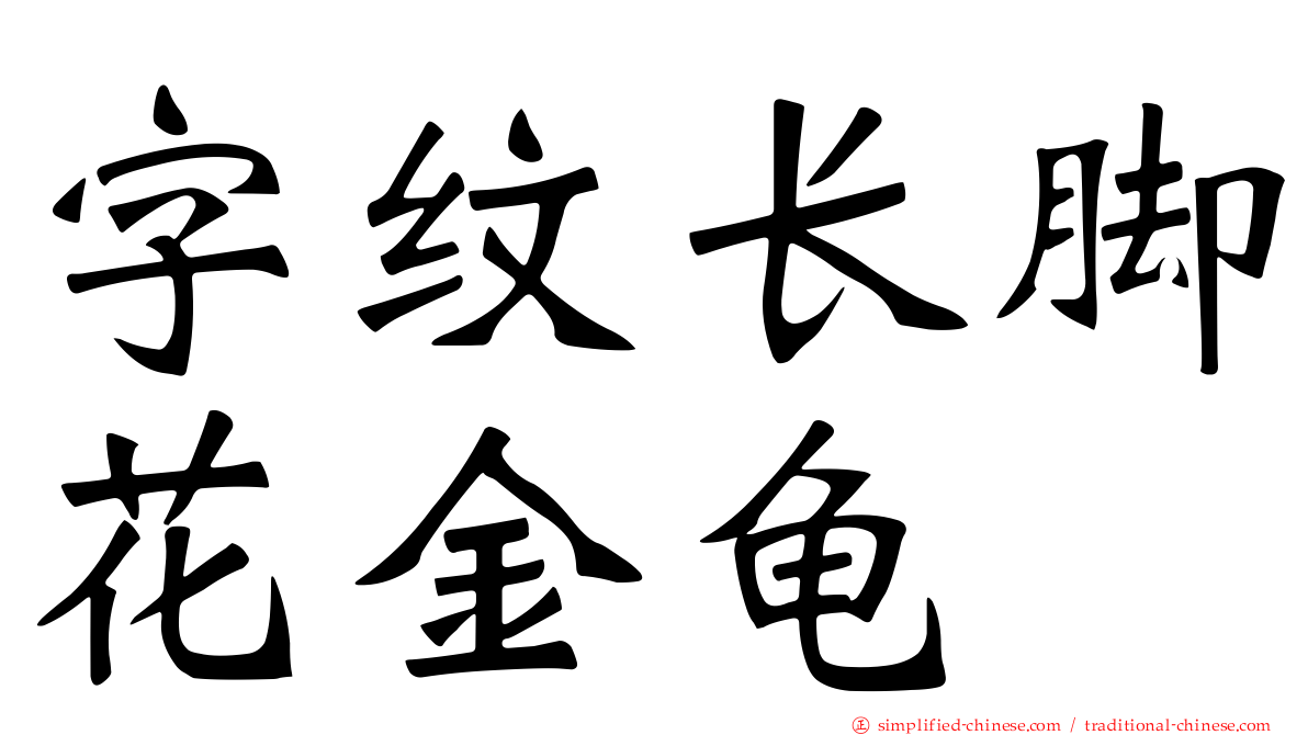 字纹长脚花金龟