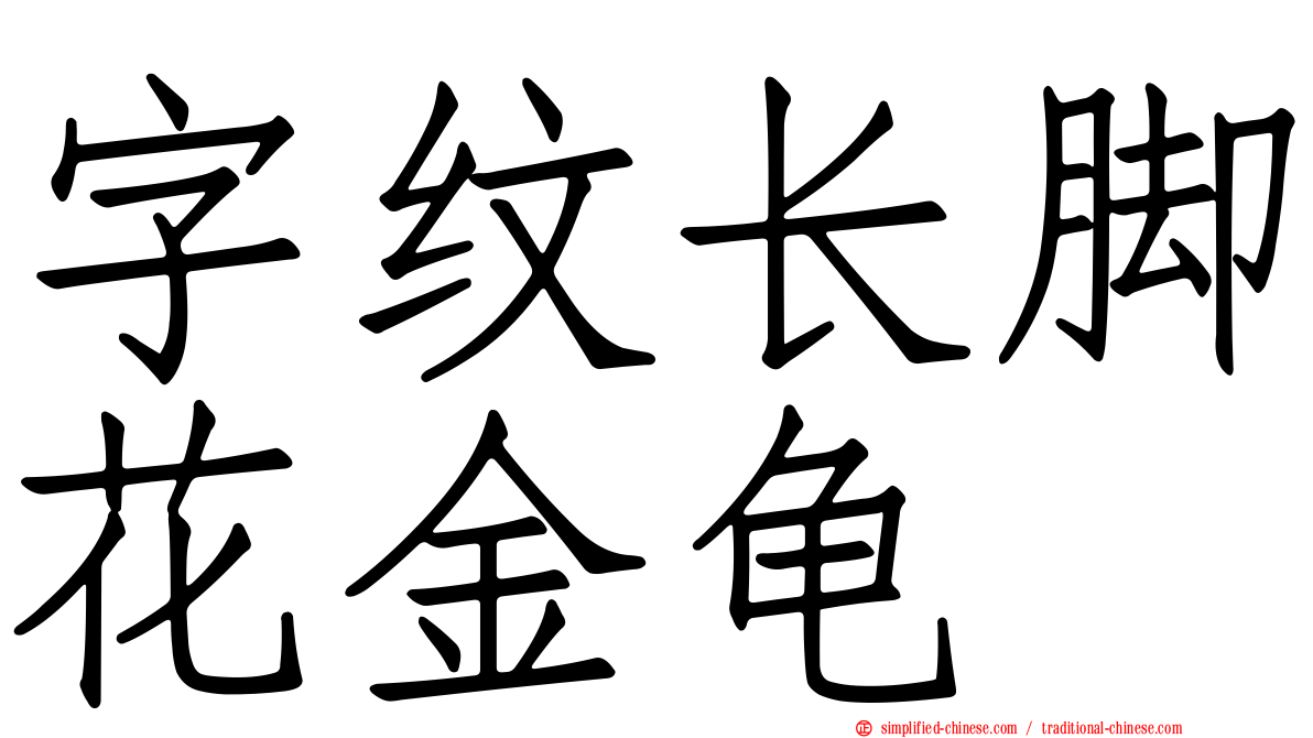 字纹长脚花金龟