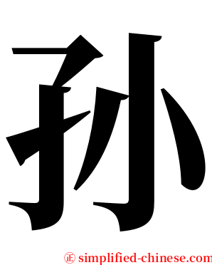 孙 serif font