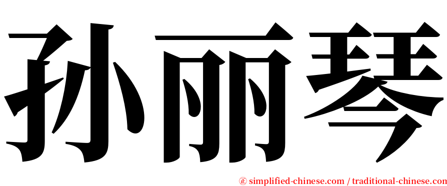 孙丽琴 serif font