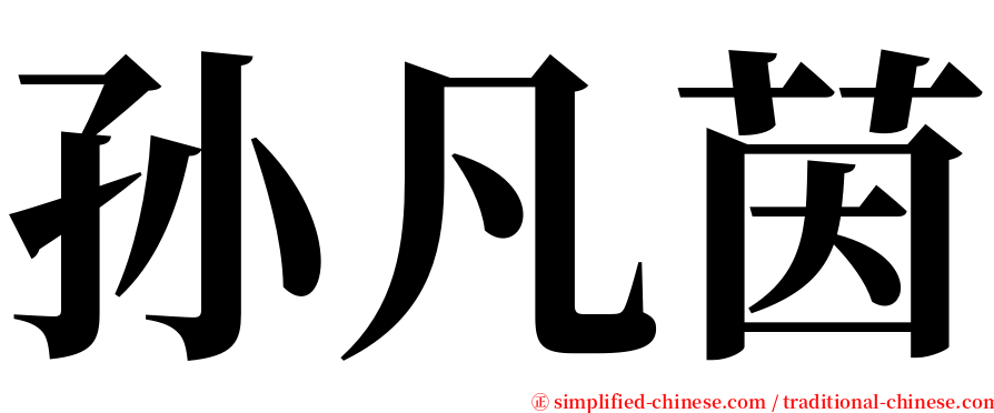 孙凡茵 serif font