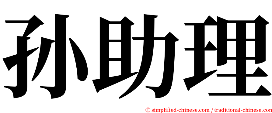 孙助理 serif font