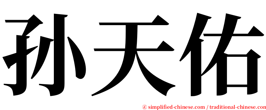 孙天佑 serif font