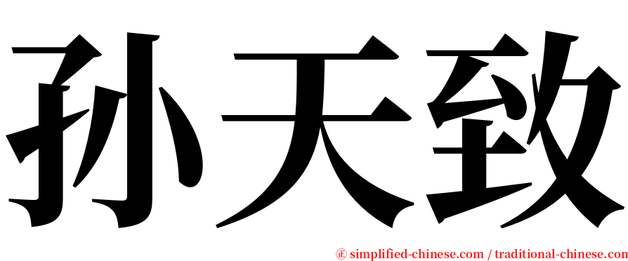 孙天致 serif font