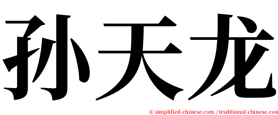 孙天龙 serif font