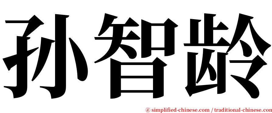 孙智龄 serif font