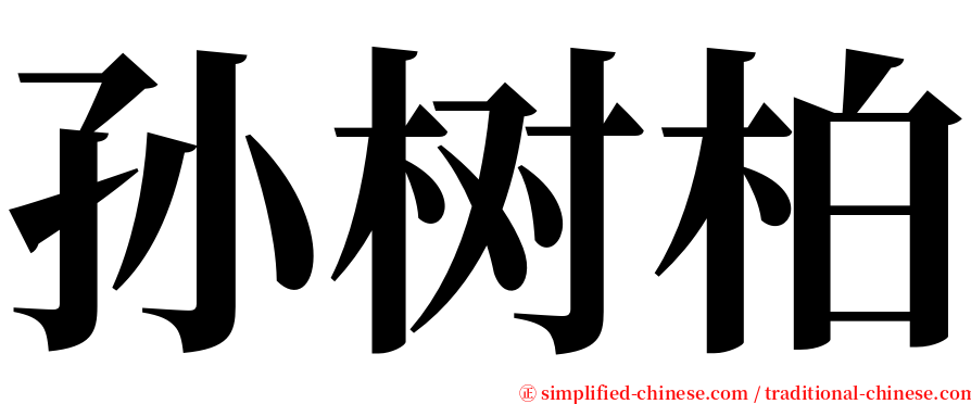 孙树柏 serif font