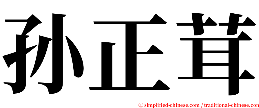 孙正茸 serif font