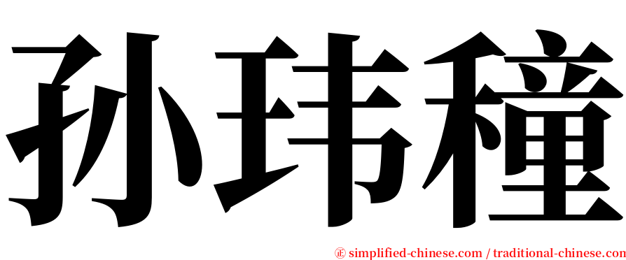 孙玮穜 serif font