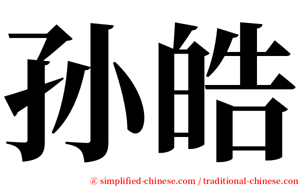 孙皓 serif font