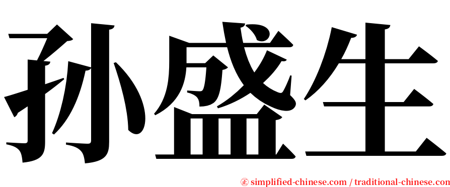 孙盛生 serif font