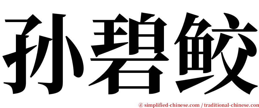 孙碧鲛 serif font