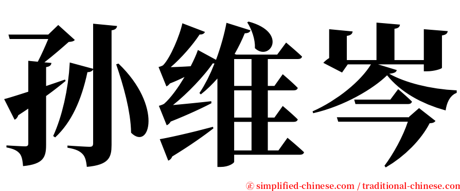 孙维岑 serif font