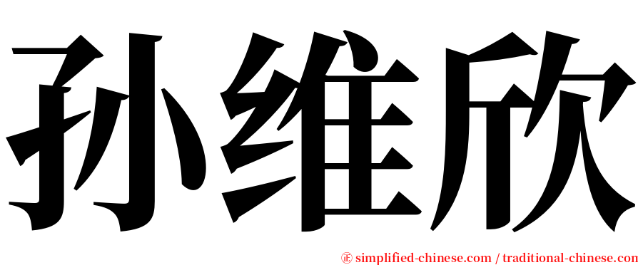 孙维欣 serif font