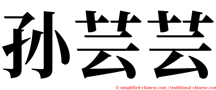 孙芸芸 serif font