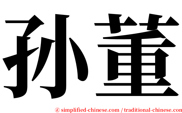 孙董 serif font