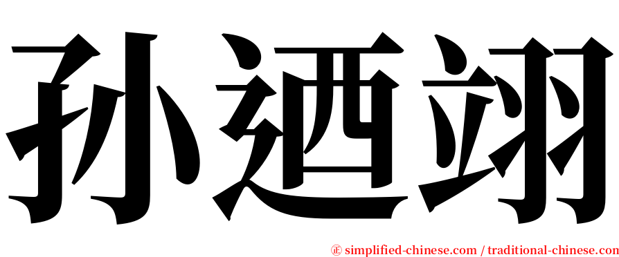 孙迺翊 serif font