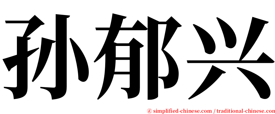 孙郁兴 serif font