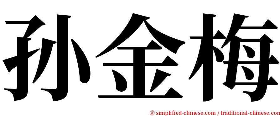 孙金梅 serif font