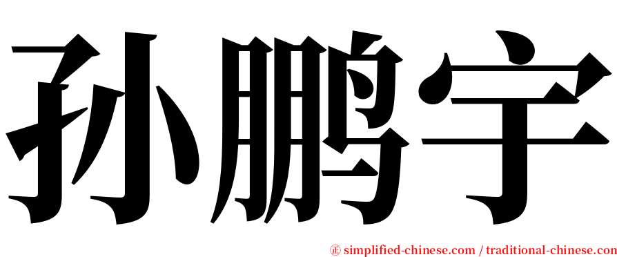 孙鹏宇 serif font