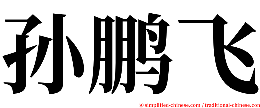 孙鹏飞 serif font