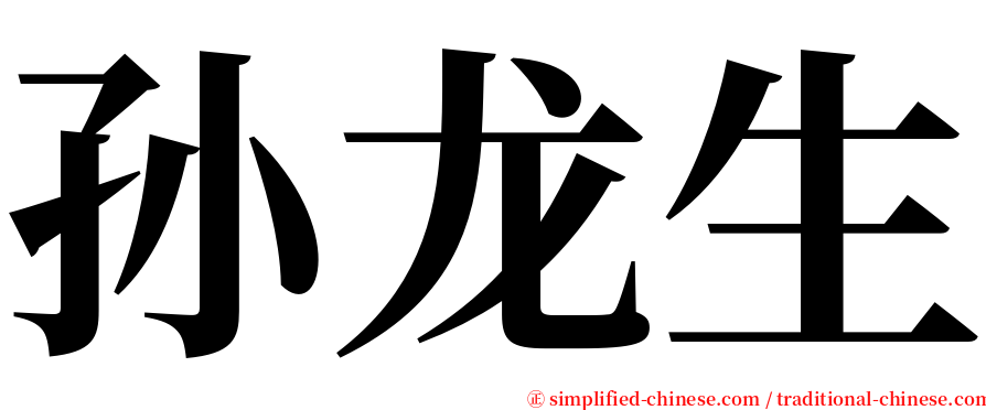 孙龙生 serif font