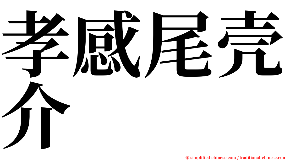 孝感尾壳介 serif font