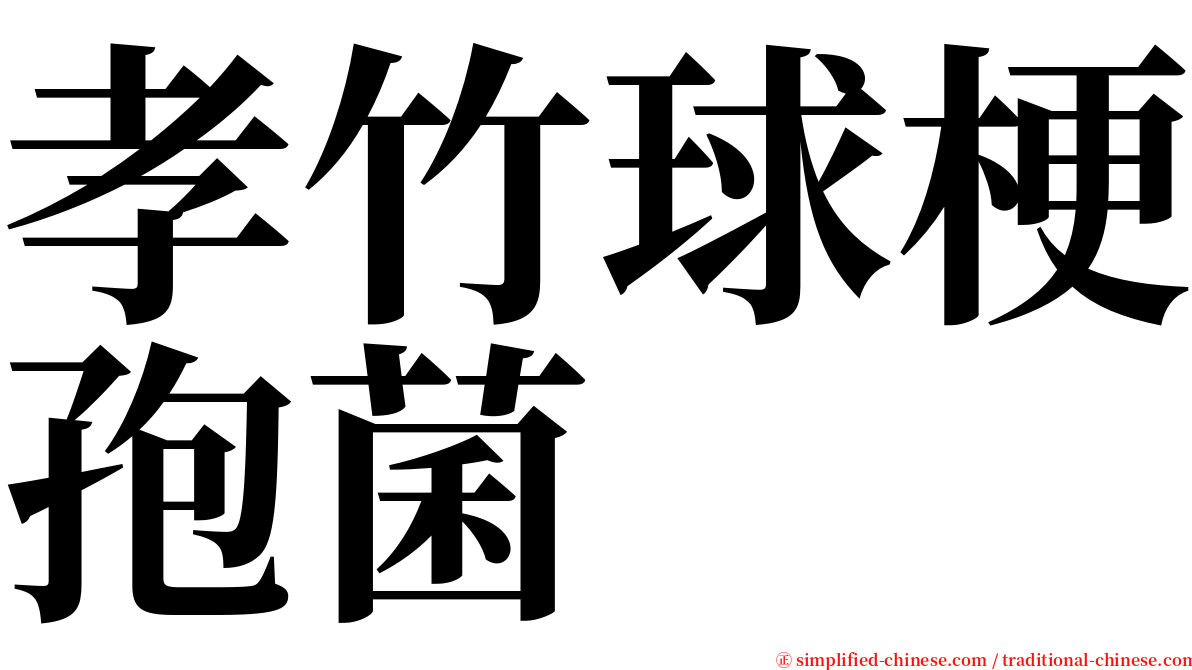 孝竹球梗孢菌 serif font