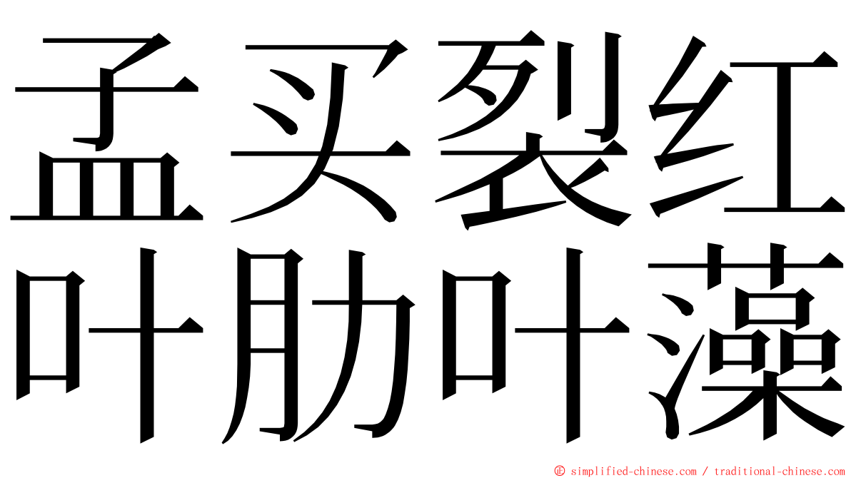 孟买裂红叶肋叶藻 ming font