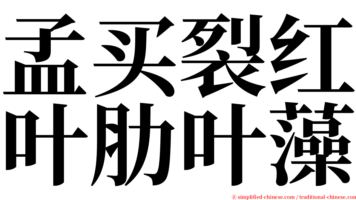 孟买裂红叶肋叶藻 serif font