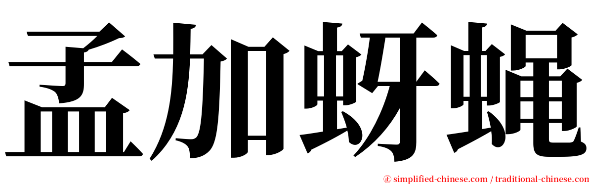 孟加蚜蝇 serif font