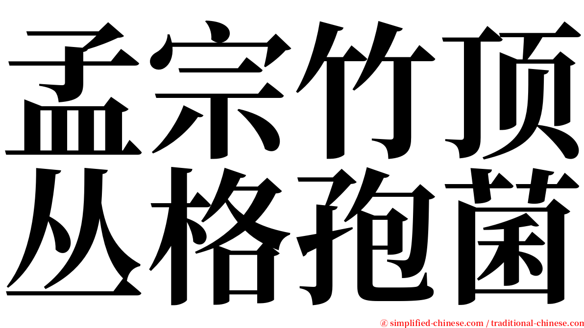 孟宗竹顶丛格孢菌 serif font